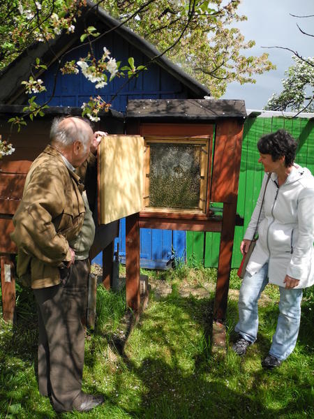 Bild vergr&ouml;&szlig;ern: Bienenlehrpfad