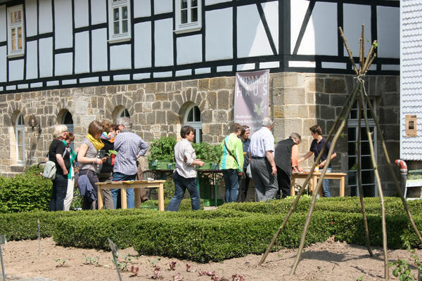 Bild vergr&ouml;&szlig;ern: Jungpflanzenmarkt