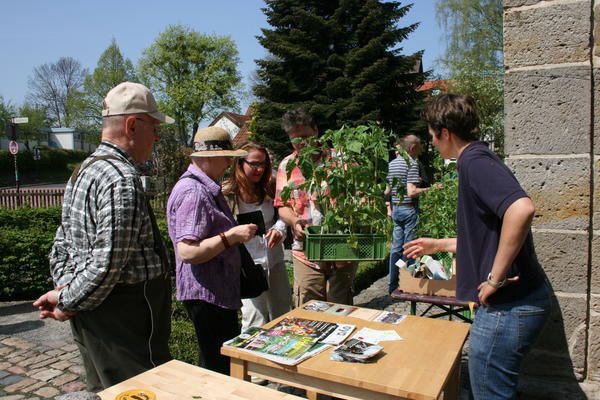 Bild vergr&ouml;&szlig;ern: Jungpflanzenmarkt