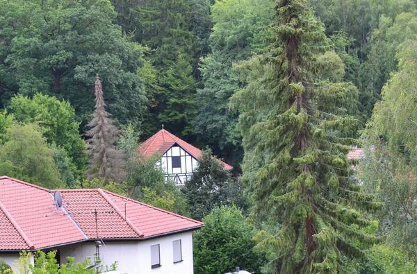 Bild vergr&ouml;&szlig;ern: Wanderung Blauer Sonntag