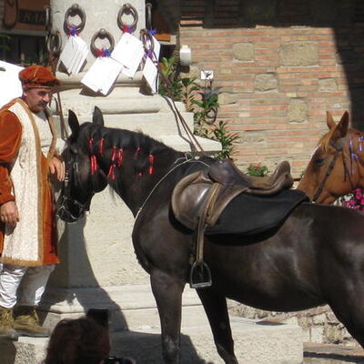 Bild vergr&ouml;&szlig;ern: Bertinoro 2014 (7)