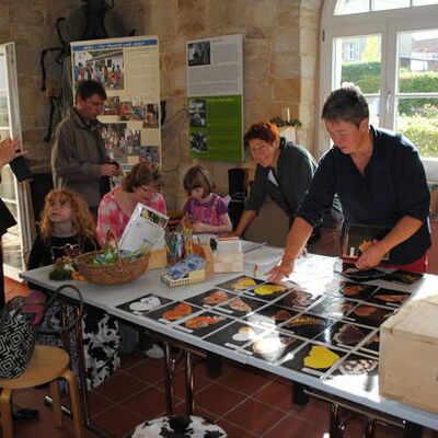 Bild vergr&ouml;&szlig;ern: Museumsgartenfest 2014 (17)