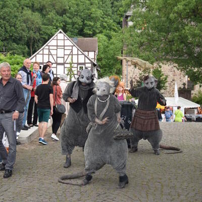 Bild vergr&ouml;&szlig;ern: Dorftage (1)