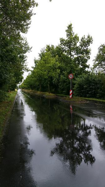 Bild vergr&ouml;&szlig;ern: Seitenradar