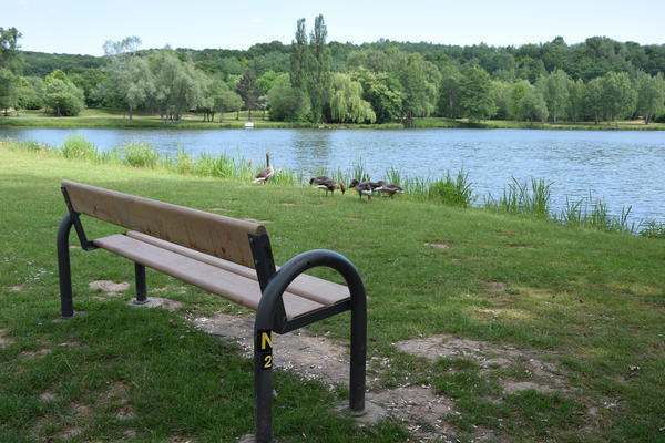 Bild vergr&ouml;&szlig;ern: Steinertseepark