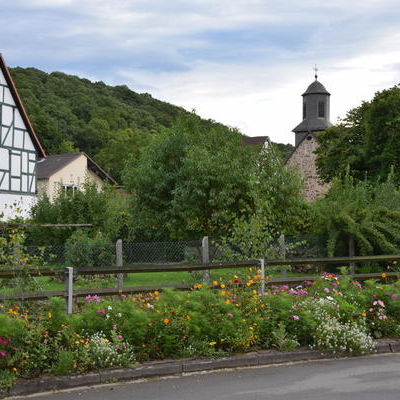 Bl&uuml;hendes Kaufungen