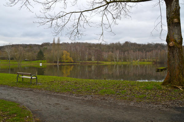 Bild vergr&ouml;&szlig;ern: Steinertseewege