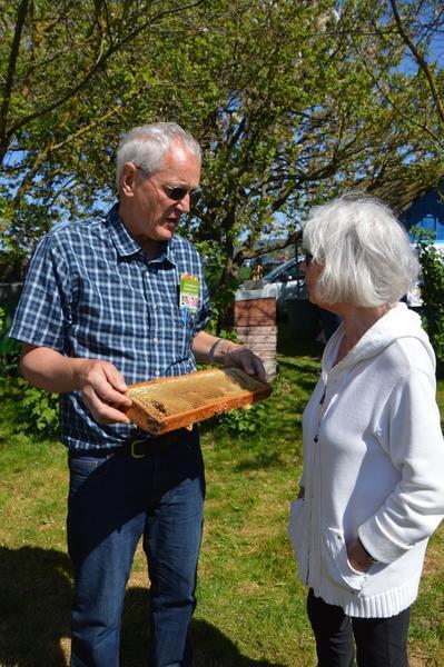 Bild vergr&ouml;&szlig;ern: Bienenlehrpfad