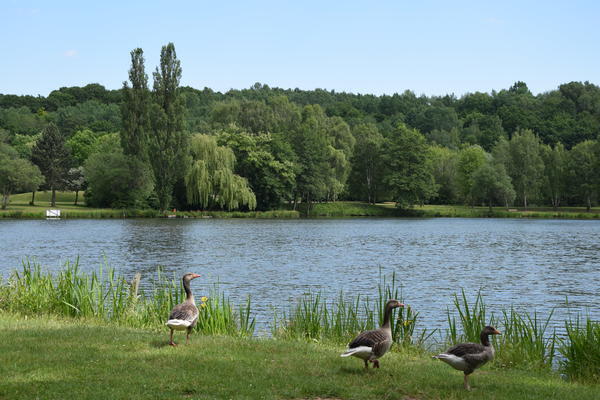 Bild vergr&ouml;&szlig;ern: Steinertsee