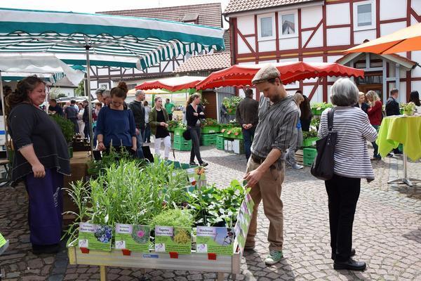 Bild vergr&ouml;&szlig;ern: Fr&uuml;hlingsmarkt