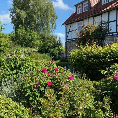 Bild vergr&ouml;&szlig;ern: Kultur- und Gartenpfad