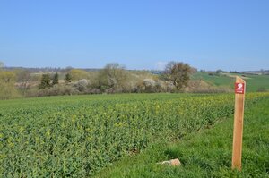 Bild vergr&ouml;&szlig;ern: Wandern auf dem Kunigundenpfad