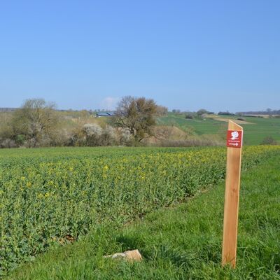Wandern auf dem Kunigundenpfad
