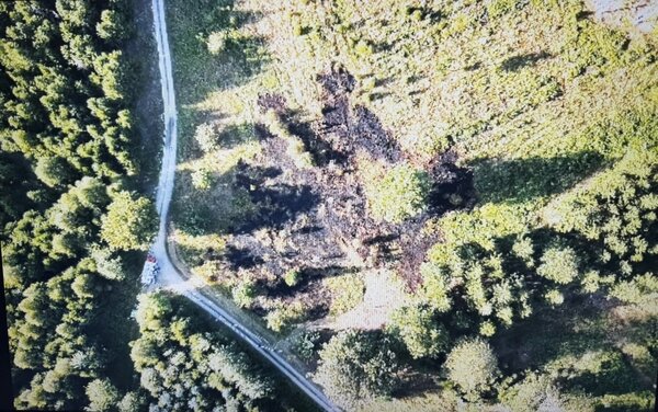 Bild vergr&ouml;&szlig;ern: Auf einer Fläche von 120 x 70 Metern konnte ein Waldbrand im Kaufunger Wald, nahe Zollstock, zügig gelöscht werden.