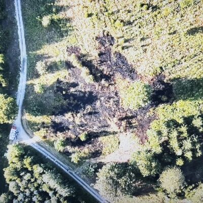 Bild vergr&ouml;&szlig;ern: Auf einer Fläche von 120 x 70 Metern konnte ein Waldbrand im Kaufunger Wald, nahe Zollstock, zügig gelöscht werden.