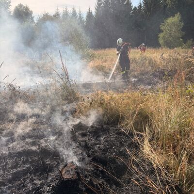 Bild vergr&ouml;&szlig;ern: Rund 120 Einsatzkräfte waren im Einsatz.