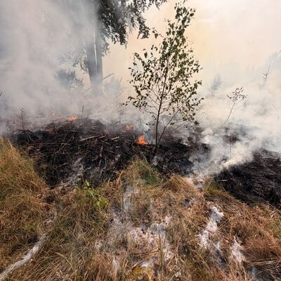 Bild vergr&ouml;&szlig;ern: Durch den schnellen und koordinierten Einsatz der Feuerwehren konnte der Brand zügig unter Kontrolle gebracht werden.