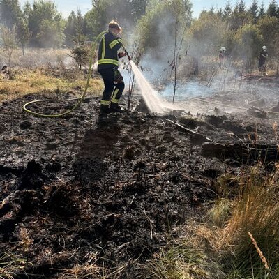 Bild vergr&ouml;&szlig;ern: Im Rahmen der Nachlöscharbeiten wurde der Boden bewässert, um eine erneute Ausbreitung des Feuers zu verhindern.