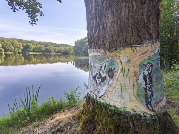 Ein kreatives Geschenk zum 50. Geburtstag: An einem Baum am Steinertsee wurde ein kleines Kunstprojekt initiiert. Auf besonderer Folie grüßen zwei neue Mitbewohner die Spaziergänger. 