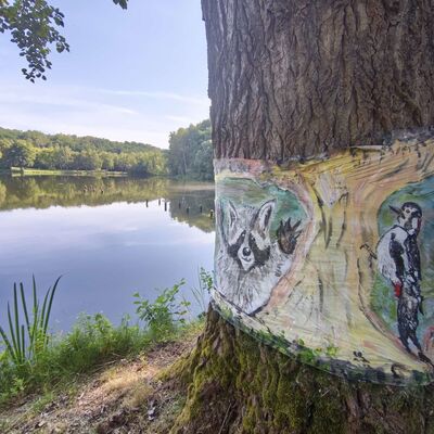 Bild vergr&ouml;&szlig;ern: Ein kreatives Geschenk zum 50. Geburtstag: An einem Baum am Steinertsee wurde ein kleines Kunstprojekt initiiert. Auf besonderer Folie grüßen zwei neue Mitbewohner die Spaziergänger.