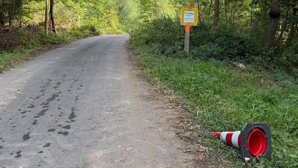 Bild vergr&ouml;&szlig;ern: Pylonen im Wald
