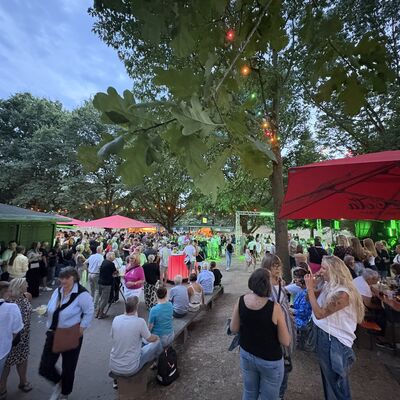 Bild vergr&ouml;&szlig;ern: Steinertsee Open Air 2026