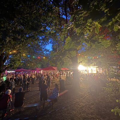 Bild vergr&ouml;&szlig;ern: Steinertsee Open Air 2026