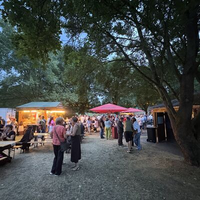Bild vergr&ouml;&szlig;ern: Steinertsee Open Air 2026