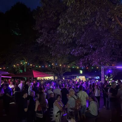 Bild vergr&ouml;&szlig;ern: Steinertsee Open Air 2026