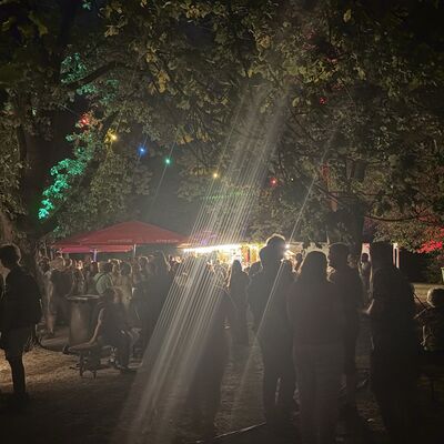 Bild vergr&ouml;&szlig;ern: Steinertsee Open Air 2026