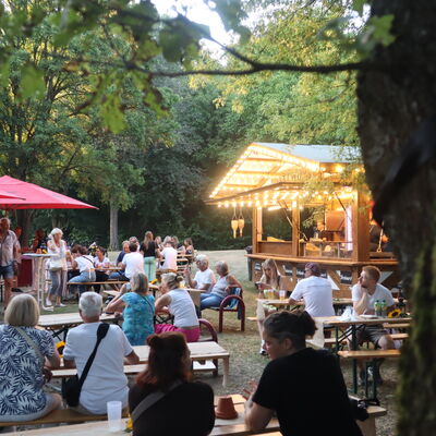 Bild vergr&ouml;&szlig;ern: Steinertsee Open Air 2026