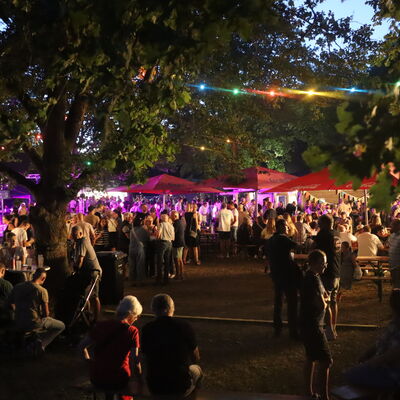 Bild vergr&ouml;&szlig;ern: Steinertsee Open Air 2026