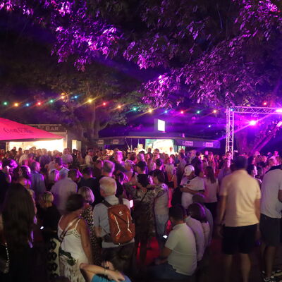 Bild vergr&ouml;&szlig;ern: Steinertsee Open Air 2026