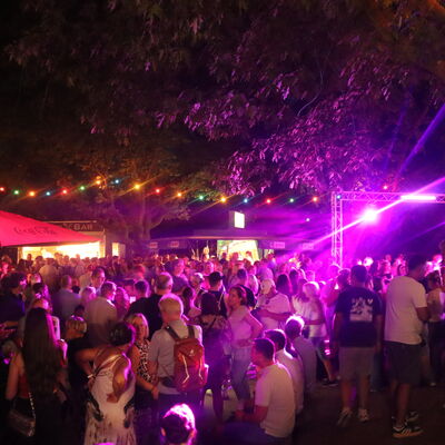 Bild vergr&ouml;&szlig;ern: Steinertsee Open Air 2026