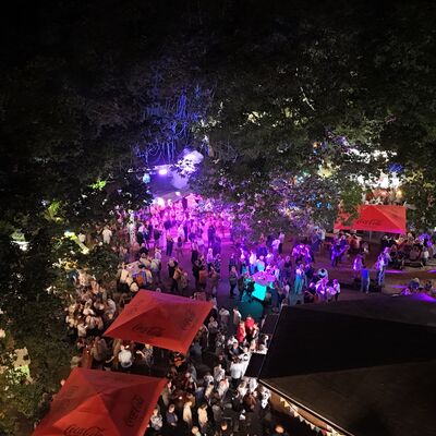 Bild vergr&ouml;&szlig;ern: Steinertsee Open Air 2026