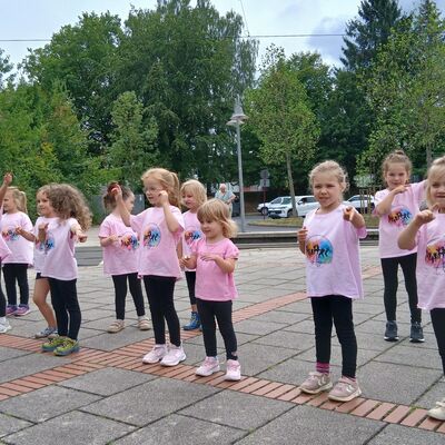 Bild vergr&ouml;&szlig;ern: Die Tanzminis zeigen tänzerisch die Vielfalt in einem Bienenstock.