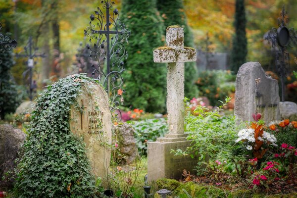 Bild vergr&ouml;&szlig;ern: Friedhofsführung Zeit für Neues