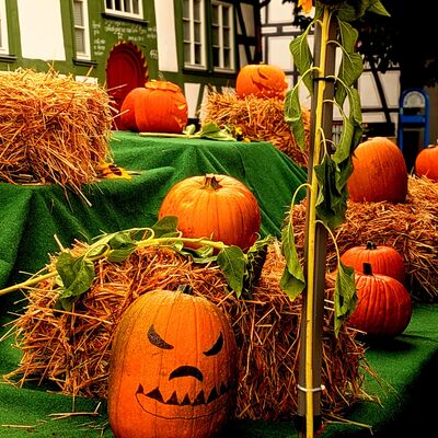 Bild vergr&ouml;&szlig;ern: Herbstmarkt 2026