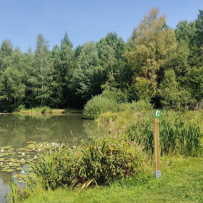 Bild vergr&ouml;&szlig;ern: Grimmsteig Rommeroder See
