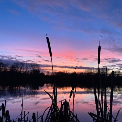 Bild vergr&ouml;&szlig;ern: Steinertseepark