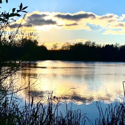 Bild vergr&ouml;&szlig;ern: Steinertseepark
