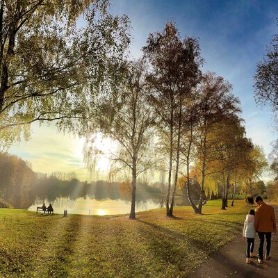Bild vergr&ouml;&szlig;ern: Steinertseepark