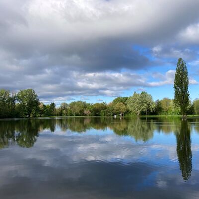 Bild vergr&ouml;&szlig;ern: Steinertseepark