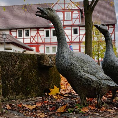 Bild vergr&ouml;&szlig;ern: Impressionen Niederkaufungen