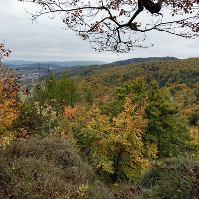 Radwege Kaufunger Wald