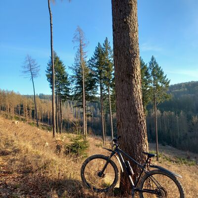 Bild vergr&ouml;&szlig;ern: Radwege Kaufunger Wald
