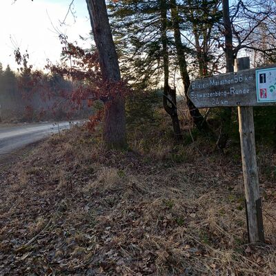 Bild vergr&ouml;&szlig;ern: Radwege Kaufunger Wald