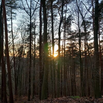 Bild vergr&ouml;&szlig;ern: Radwege Kaufunger Wald