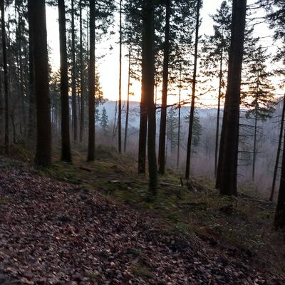 Bild vergr&ouml;&szlig;ern: Radwege Kaufunger Wald