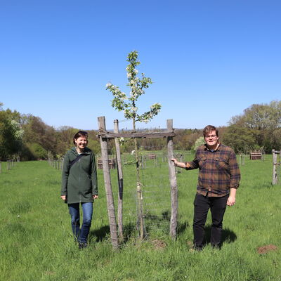Bild vergr&ouml;&szlig;ern: Lisa Haubner vom Team Klimaschutzmanagement und Julius Krause, Klimaanpassungsmanager der Gemeinde Kaufungen, stehen auf einer Streuobstwiese neben einem jungen blühenden Obstbaum. Im Hintergrund sind weitere junge Obstbäume und eine grüne Wiesenlandschaft zu sehen.